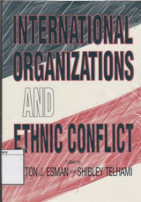 Image of International Organization and Ethnic Conflict