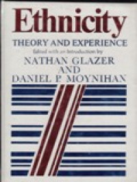 Image of Ethnicity : theory and Experience