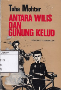 Image of Antara Wilis dan Gunung Kelud