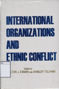 Image of International Organization and Ethnic Conflict