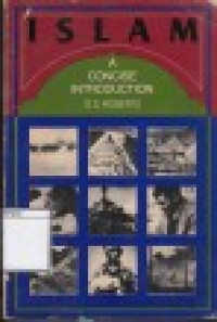 Image of Islam: A Concise Introduction