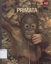 Image of Primata