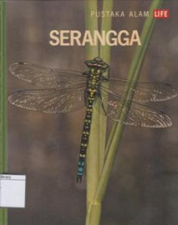 Image of Serangga