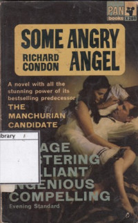 Image of Some Angry Angel : A Mid-Century Faerie Tale