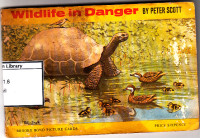 Image of Wildlife in danger