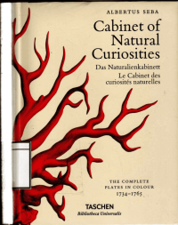 Image of Cabinet of Natural Curiosities