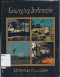 Image of Emerging Indonesia