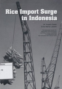 Image of Rice Import Surge in Indonesia