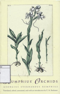 Image of Rumphius Orchids : Orchid Texts from The Ambonese Herbal