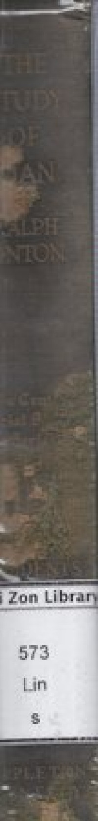 Image of The Study Man: An Introduction