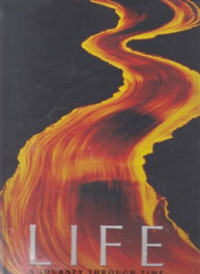 Image of Life: A Journey Through Time