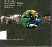 Image of The Grab Bag: Supplementary Methods for Assessing Human Well-Being